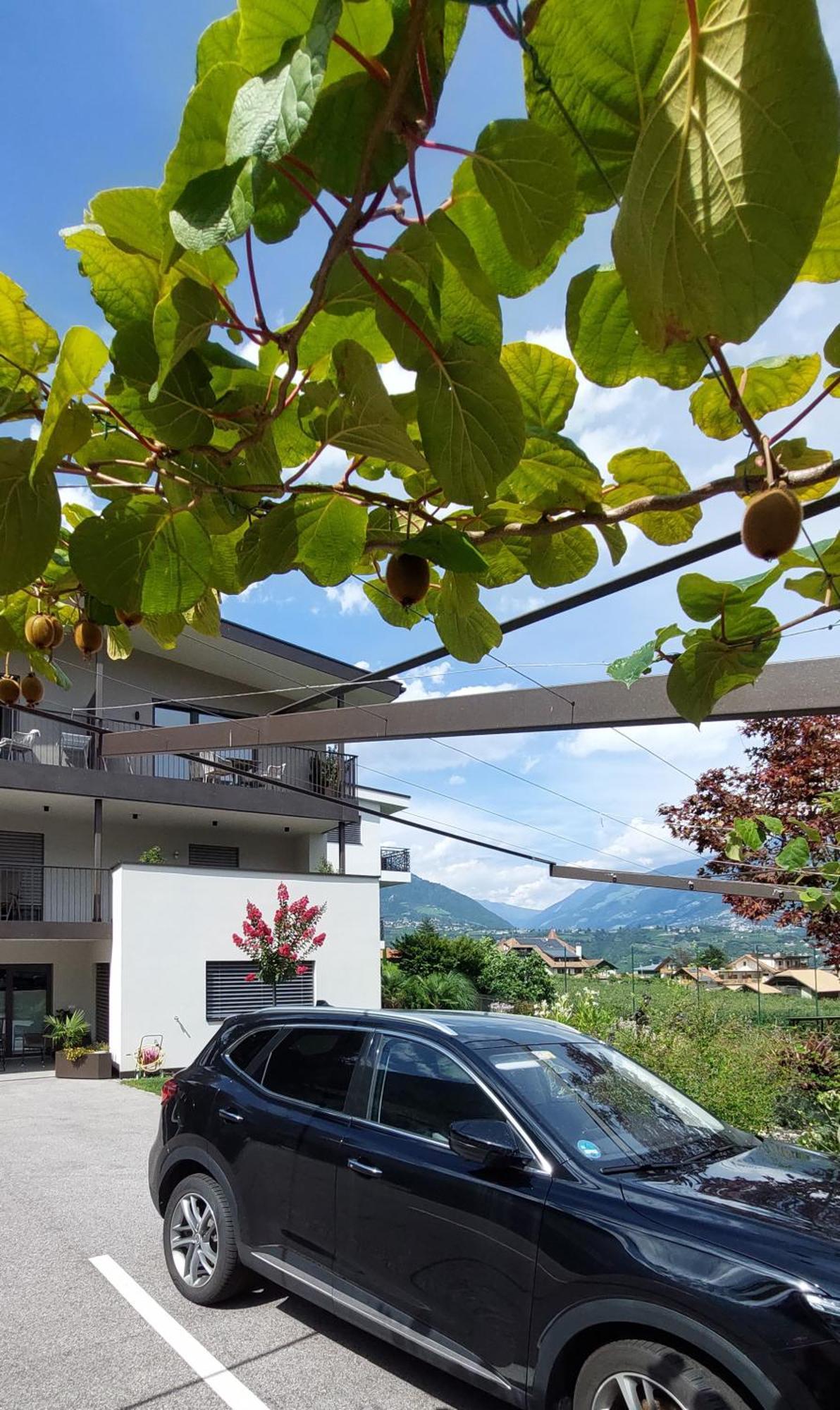 Marlingsuites - Vinea - Wieser Josef - Marling 외부 사진