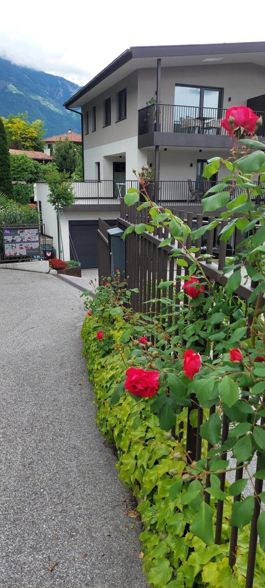 Marlingsuites - Vinea - Wieser Josef - Marling 외부 사진