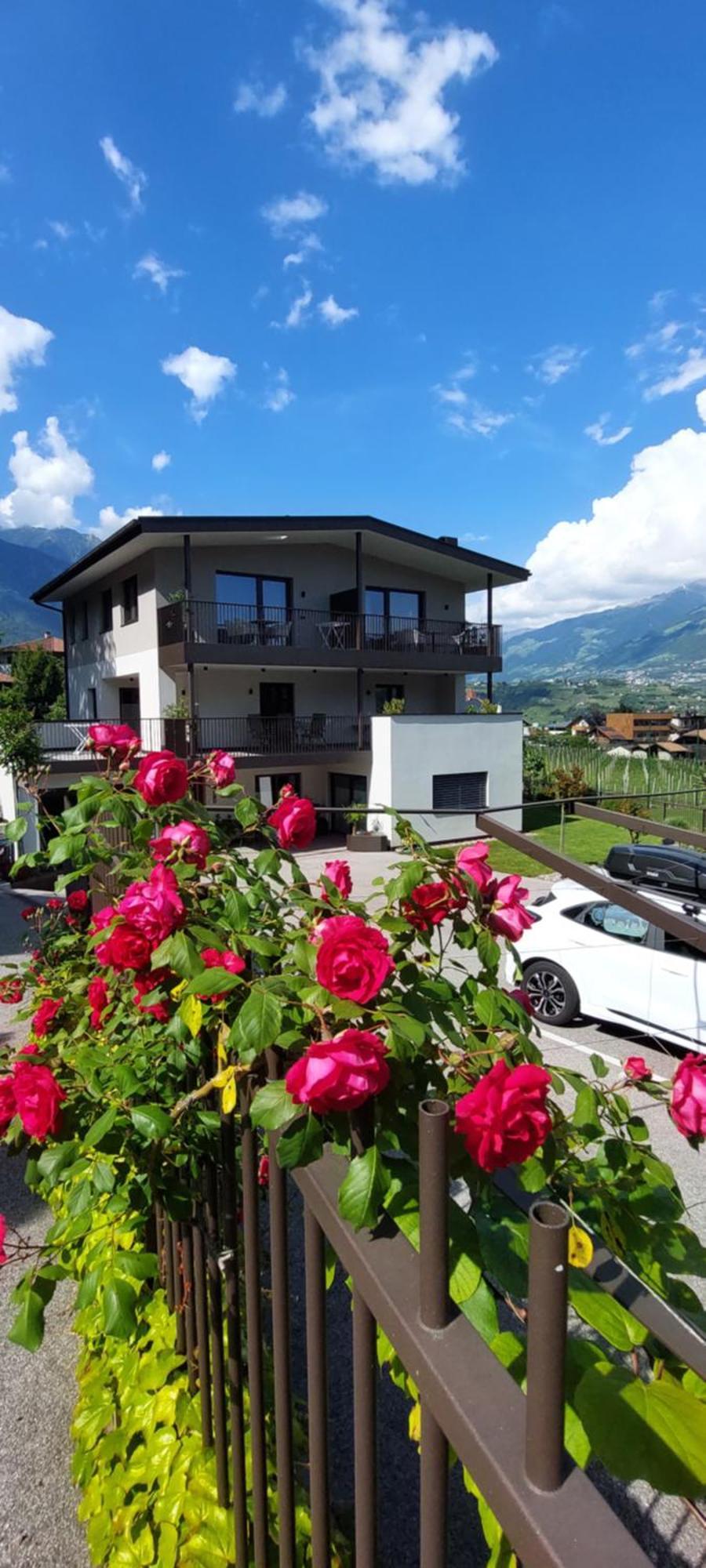 Marlingsuites - Vinea - Wieser Josef - Marling 외부 사진